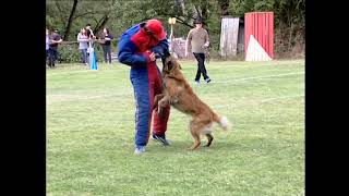 Concours de Ring Canin - Août 2008