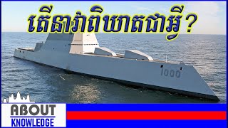 តើនាវាពិឃាតជាអ្វី?/What is a destroyer?