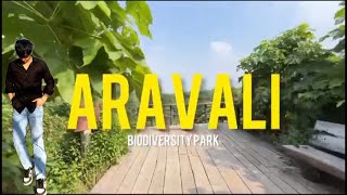 ARAVALI BIODIVERSITY park . 10k view