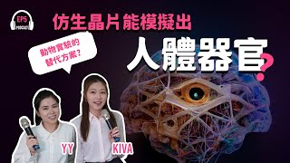 【Podcast】動物實驗的替代方案？仿生晶片能成功模擬出人體器官？