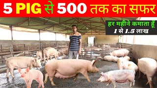 कम बजट से शुरू कर पिग फार्मिंग कैसे कमाए लाखो  @@@Indian farming technology