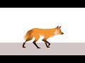 fox walk cycle