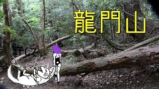 龍門山 ( 竜門山 ） 【 うろうろ和歌山 】 和歌山県 紀ノ川市 紀州富士 の 登山