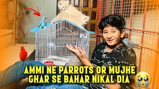 Ammi ne Parrots or Mujhe Ghar sa Bahar Nikaldia!🦜😓| Last Day with my Parrots!🥹| Vampire YT