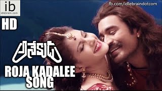 Dhanush's Anekudu Roja Kadalee song - idlebrain.com