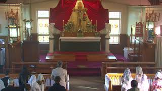 SSPXNZLIVE - Third Sunday after Pentecost - 9th June - Sung Mass