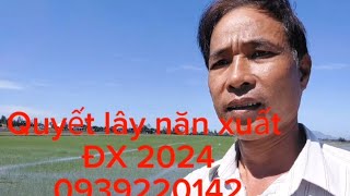 QUYẾT lấy năn xuất ĐX 2024, 0939220142#nguyễnngào.