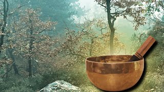 Calm Nervous System | Tibetian Singing Bowls | Relax & Sleep | Black Screen | Harmonize your Energy