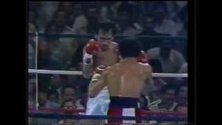 Wilfredo Gomez vs Carlos Zarate full fight HD