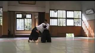 Tanaka-Oiwa Aikido Enbu in gakusyuin University  2010