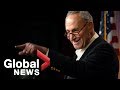 Chuck Schumer FULL news conference on midterm elections results