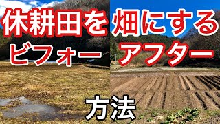 休耕田を畑にする