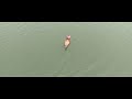 Punta Gorda Belize A view from Above HD DJI Mavic Air
