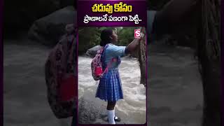 చదువు కోసం #studies #school #schoollife #viralvideo #trending #ytshorts #youtubeshorts #sumantv