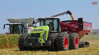 HARVESTING CORN at Farm Progress 2023