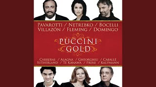 Puccini: Madama Butterfly / Act 2: "Addio, fiorito asil"