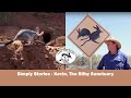 Simple Stories - Save the Bilby Fund