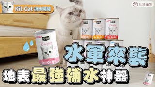 【🐱Kit Cat｜非吃不渴 補水罐罐💦】150g超大罐 水軍來襲！奇亞籽、枸杞超級食物添加營養滿分💯｜毛孩市集 Petpetgo