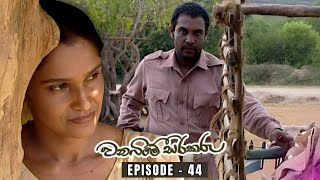 Wanabime Sirakaru Episode  44 | 2024-08-03