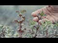 Bio Inspir' | The CNRS at VivaTech