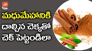 How Cinnamon Help In Diabetes | Cinnamon Benefits For Diabetes | Dalchina Chekka | YOYO Health