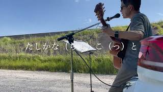 野外Live たしかなこと（小田和正　カバー）　solotone