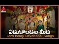 Lord Venkateswara Swami Devotional Songs | Yedu Kondala Meeda Telugu Devotional Song