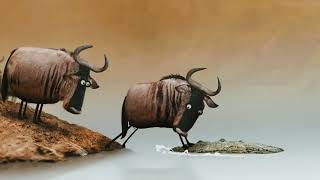 Animated Short Film - The Wildebeest | Animated Short Stories in Hindi Urdu | Fairy Tales