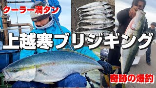 Jigging in Nigata. many sardines around our boat and we caught many yellowtails and Spanish mackerel