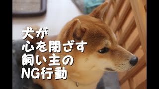 犬が『心を閉ざしてしまう』飼い主のNG行為４選