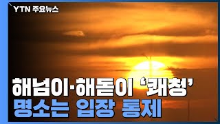 한파 속 해넘이·해돋이 '쾌청'...명소는 입장 통제 / YTN