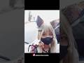 COSPLAY KAWAII GENSHIN IMPACT - COSPLAY EDIT #shorts #cosplay #genshinimpact #fyp #kawaii