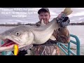 how to pier fish for salmon steelhead and lake trout casting from shore