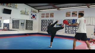 Taekwondo specific balance