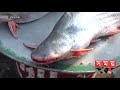 যে বাজারে মিলবে ফরমালিন ও বিষমুক্ত টাটকা মাছ fish market somoy tv