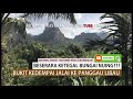 Bukit Kedempai Jalai Ke Panggau Libau- Richard Thias