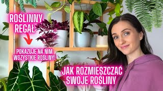 Jak Rozmieścić Rośliny? 🌿 | Mój Roślinny Regał🪴 Roślinki Gosi