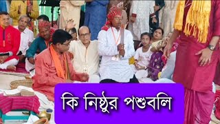 নিষ্ঠুর পশুবলি। আজিমপুর সরকারী কলোনীর পূজা