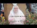 Corinhos de fogo ♫ I Zenilda Spitzbarth