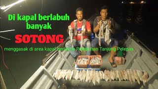 Sotong banyak di labuh kapal Pelabuhan Tanjung Pelepas PTP