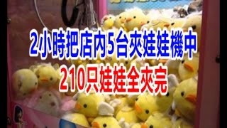 韓國2名青年2小時把店內5台夾娃娃機中210只娃娃全夾完