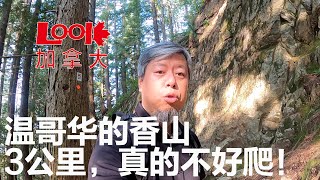 3公里山路，海拔上升800米，温哥华松鸡山真的不好爬！斌主播带队，全体成员2小时以内全部登顶！（感谢订阅）