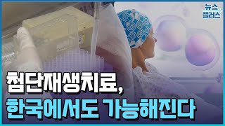 일본 원정, 2월이면 '끝'...줄기세포 치료 길 열려 [김수진의 바이탈]/한국경제TV뉴스