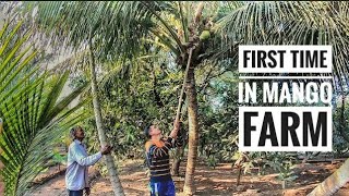 Mango Farm visit in Gujarat Village | Bandra to Veraval 19017 Saurashtra Janta Express