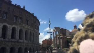 Italy Rome Colosseumのパチモン Catjukevox旅ぬこアイドルうろつきおもちゃくん