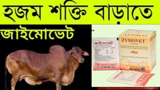 গরুর রুচি ও হজমশক্তি বৃদ্ধিতে জাইমোভেট।।