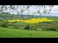 silverton devon walking highlights