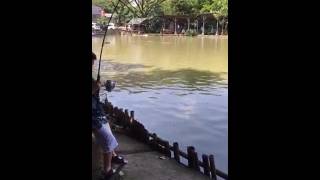 Godong Ijo- Mancing ikan Genghis Khan