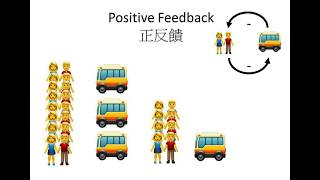 甚麼是負反饋？🤔DSE Bio Circulate 反饋機制 Feedback Mechanism