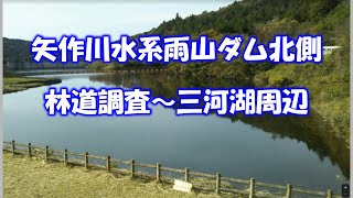 【愛知県・オフロード・林道ツーリング】矢作川水系雨山ダム北側の林道調査【出来立て林道を進んでみた】